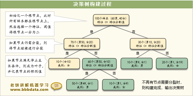 决策树构建过程