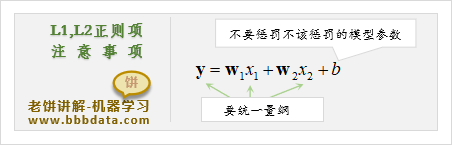 使用正则项进行正则化的注意事项