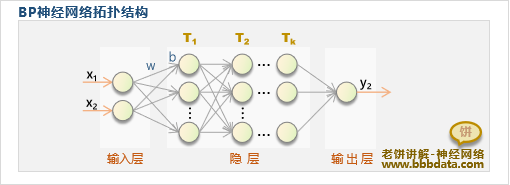  BP神经网络的仿生结构