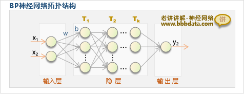  BP神经网络的结构拓扑图