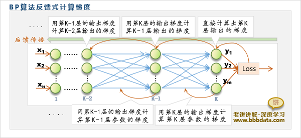 BP算法流程