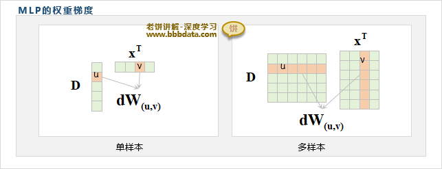 MLP的权重梯度如何求和